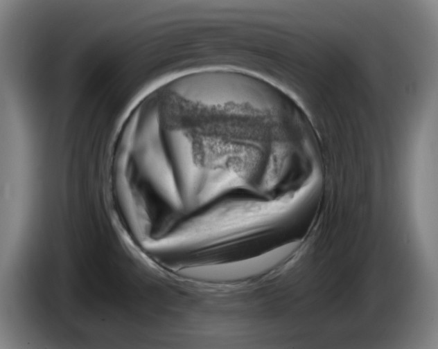 X0000085211534200703301630