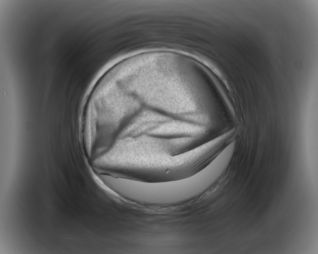 X0000085211535200703301630