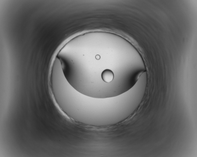 X0000085211536200703301630