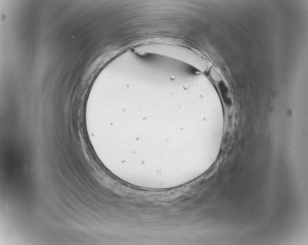 X0000085210001200704091918