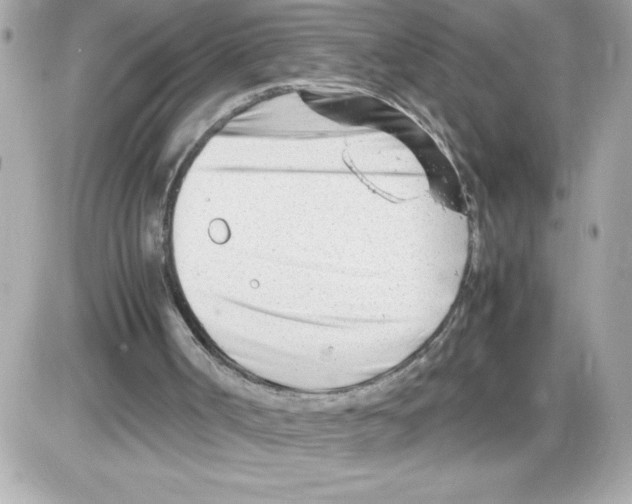 X0000085210002200704091918