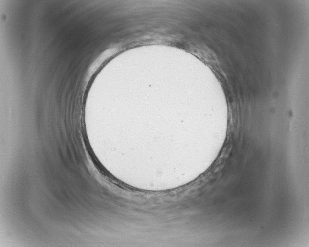 X0000085210003200704091918