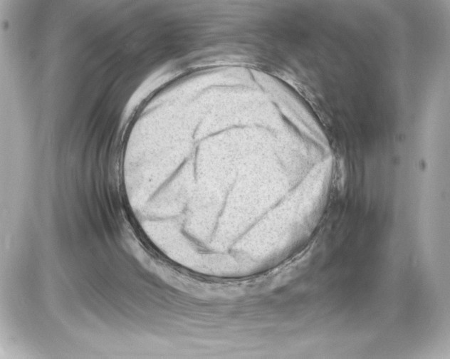 X0000085210004200704091918