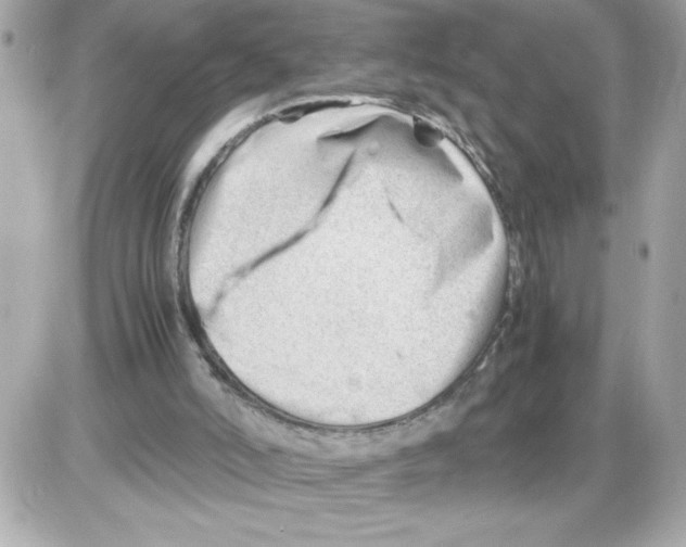 X0000085210006200704091918