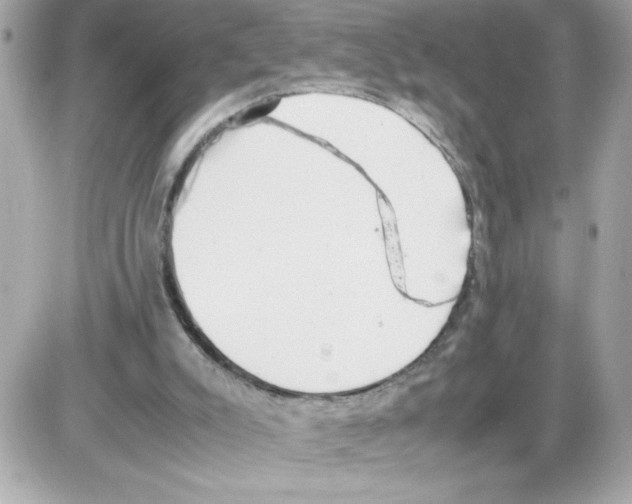 X0000085210007200704091918