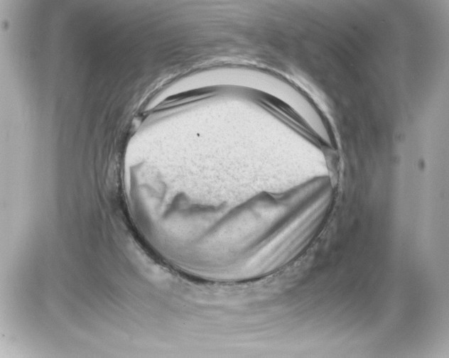 X0000085210009200704091918