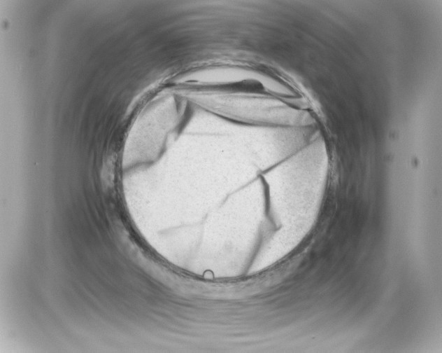 X0000085210010200704091918