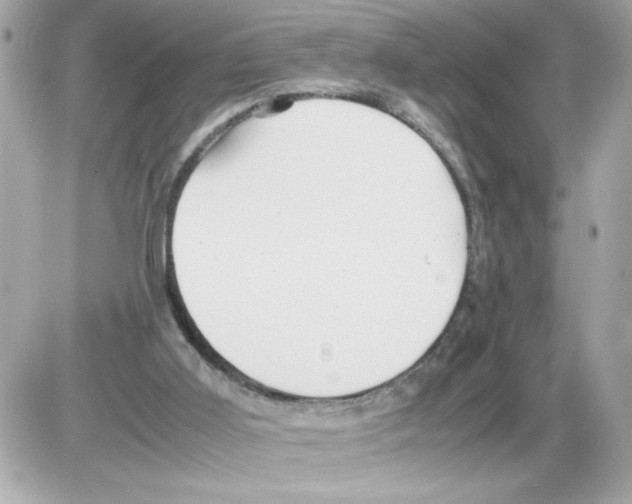 X0000085210011200704091918