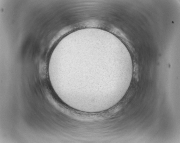 X0000085210012200704091918