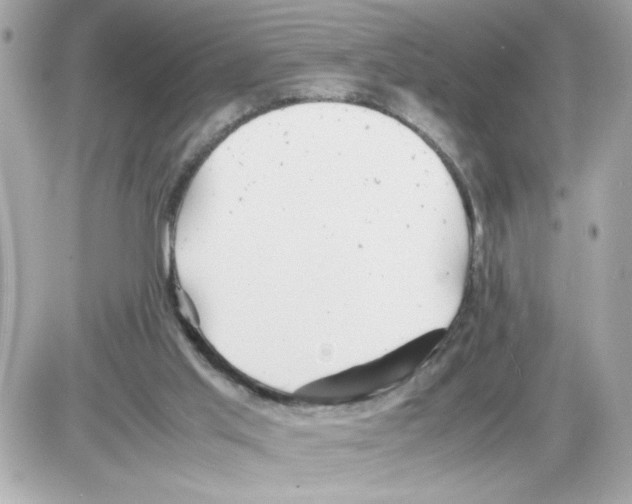 X0000085210013200704091918