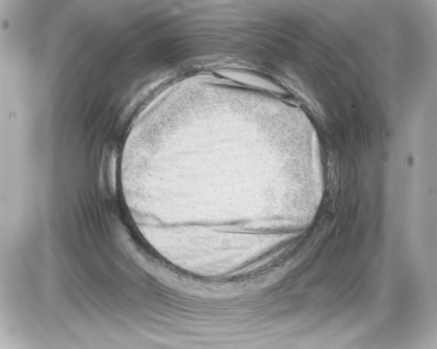 X0000085210014200704091918