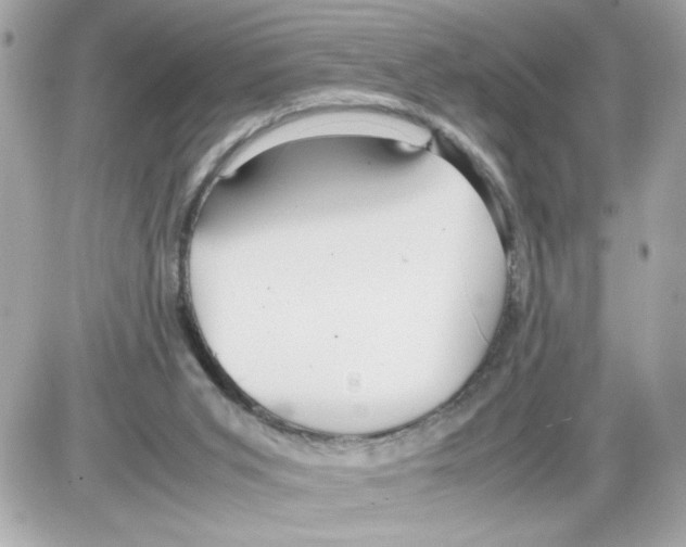 X0000085210015200704091918