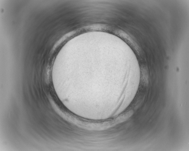 X0000085210016200704091918