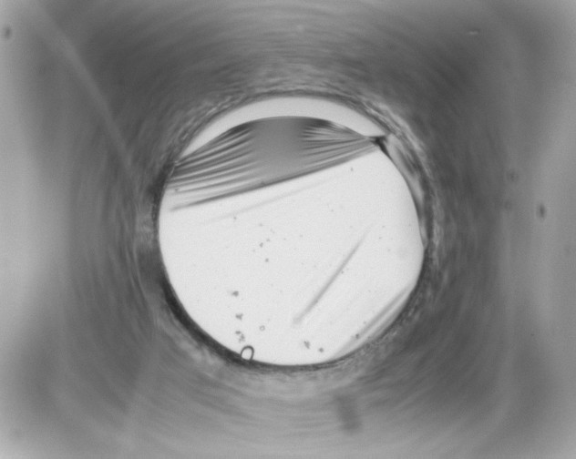 X0000085210017200704091918