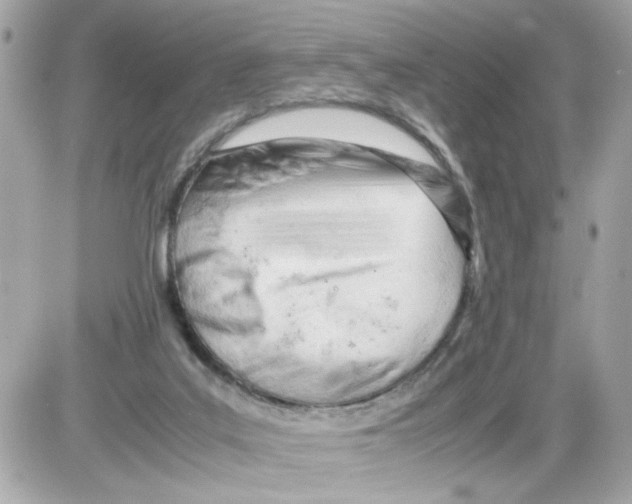 X0000085210019200704091918