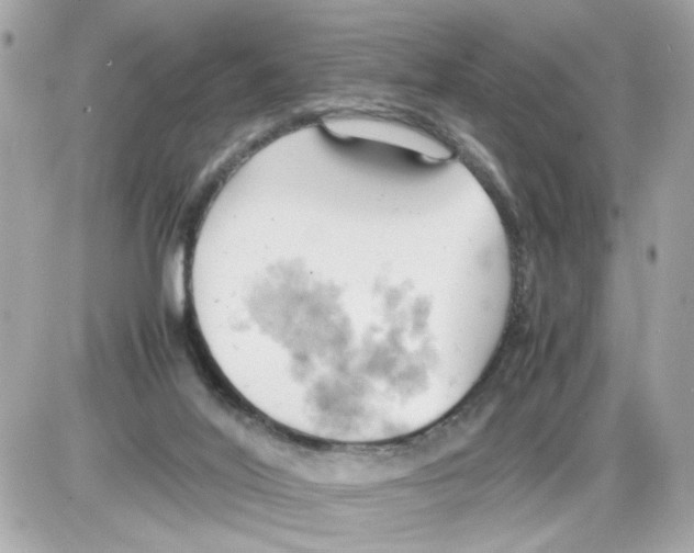 X0000085210020200704091918