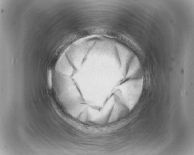 X0000085210022200704091918