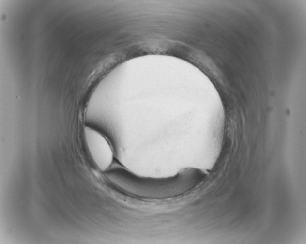 X0000085210023200704091918