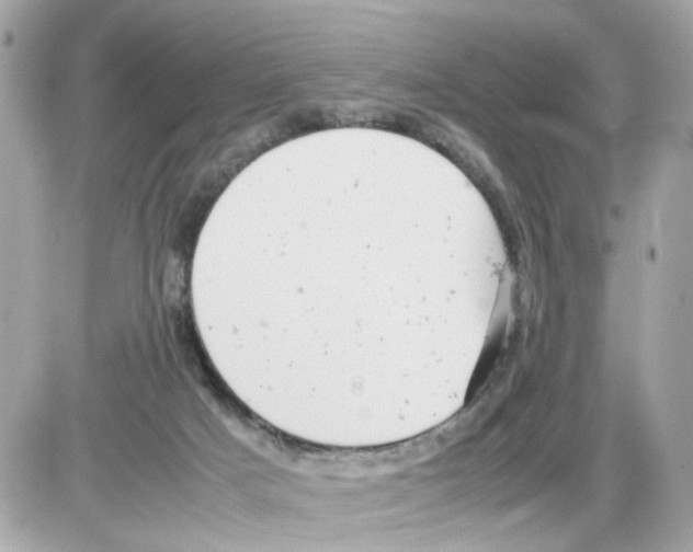 X0000085210025200704091918