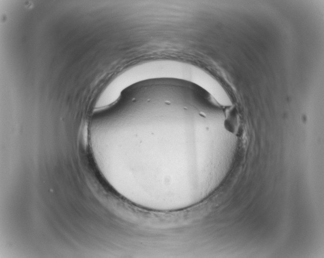 X0000085210027200704091918