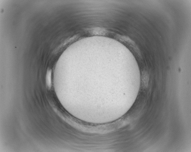 X0000085210028200704091918