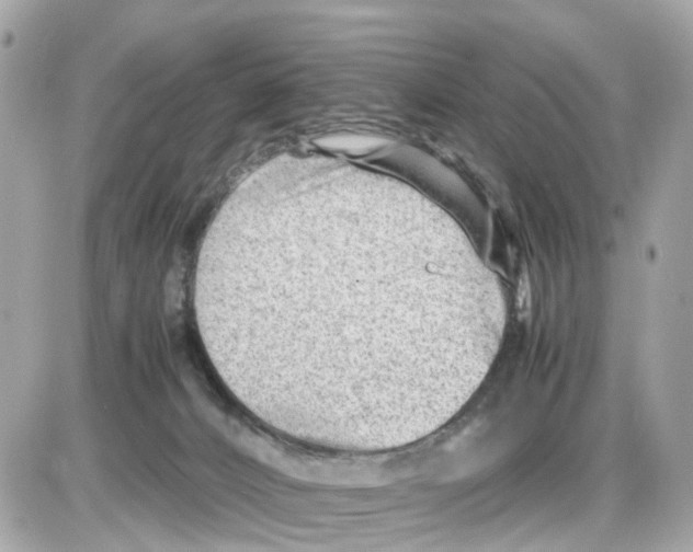 X0000085210032200704091918