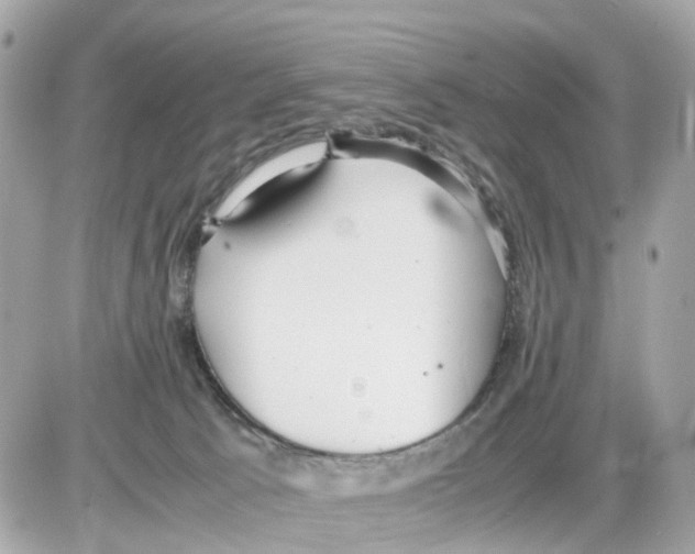 X0000085210033200704091918