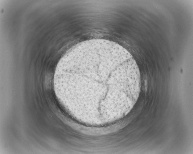 X0000085210034200704091917