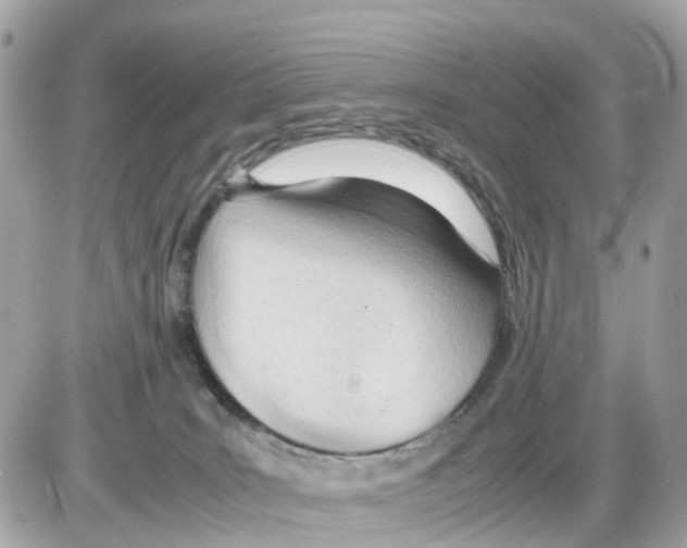 X0000085210035200704091917