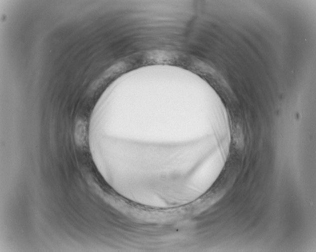 X0000085210036200704091917