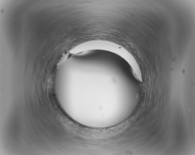 X0000085210037200704091917