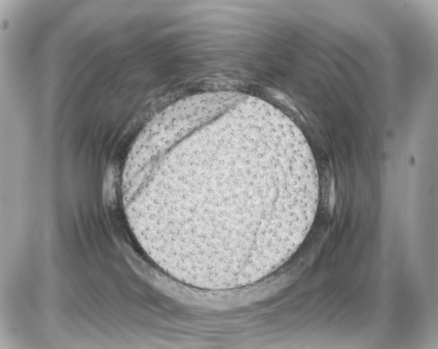 X0000085210038200704091917