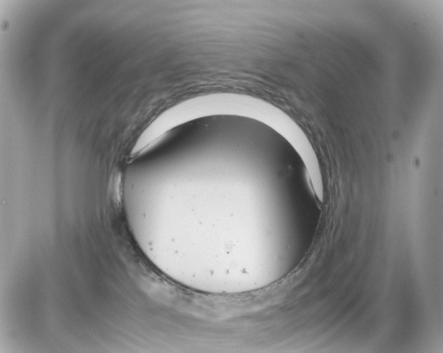 X0000085210041200704091917