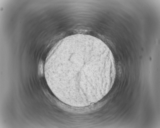 X0000085210042200704091917