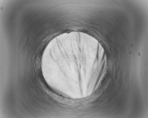 X0000085210043200704091917