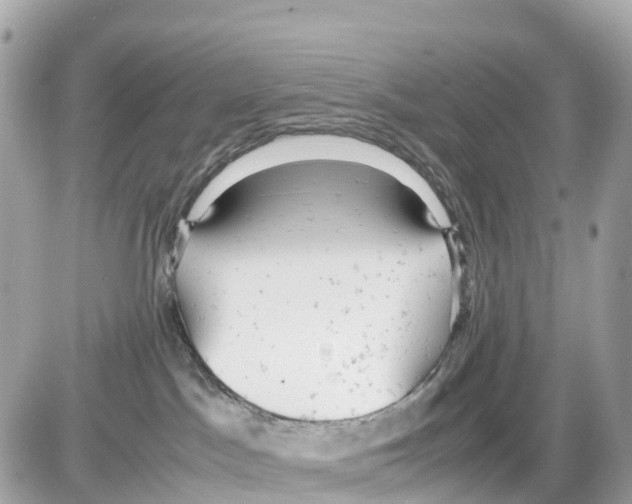 X0000085210045200704091917