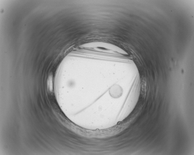 X0000085210046200704091917