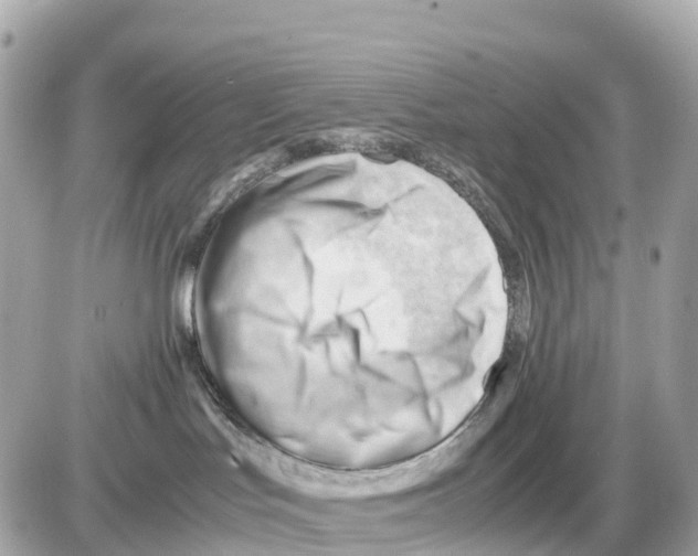 X0000085210047200704091917