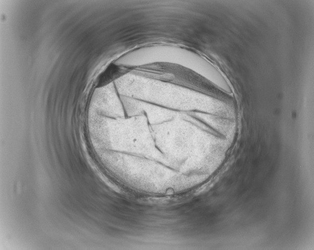 X0000085210049200704091916