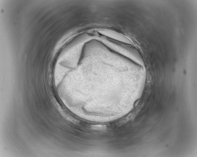 X0000085210053200704091917