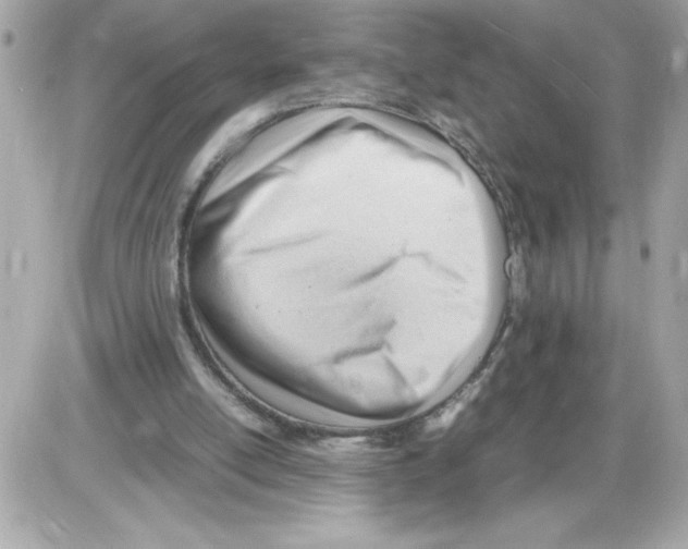 X0000085210054200704091917