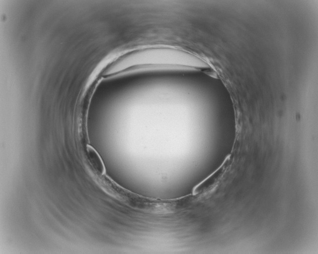 X0000085210056200704091917