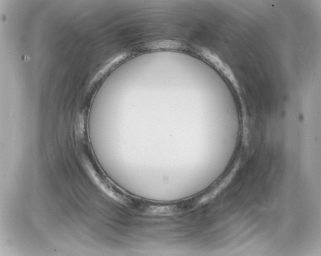 X0000085210057200704091917