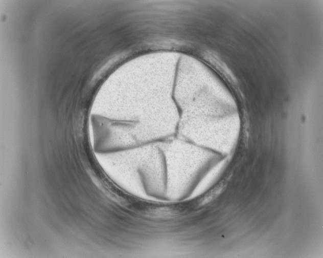 X0000085210058200704091917