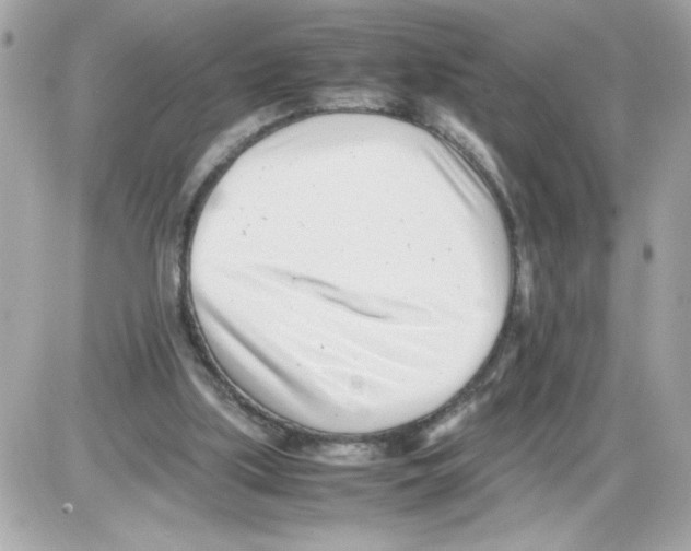 X0000085210059200704091917