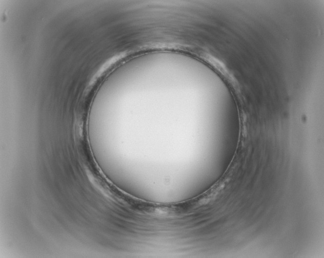 X0000085210060200704091917