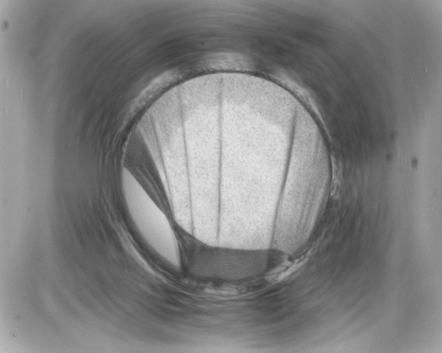 X0000085210061200704091917