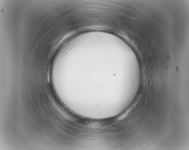 X0000085210062200704091917