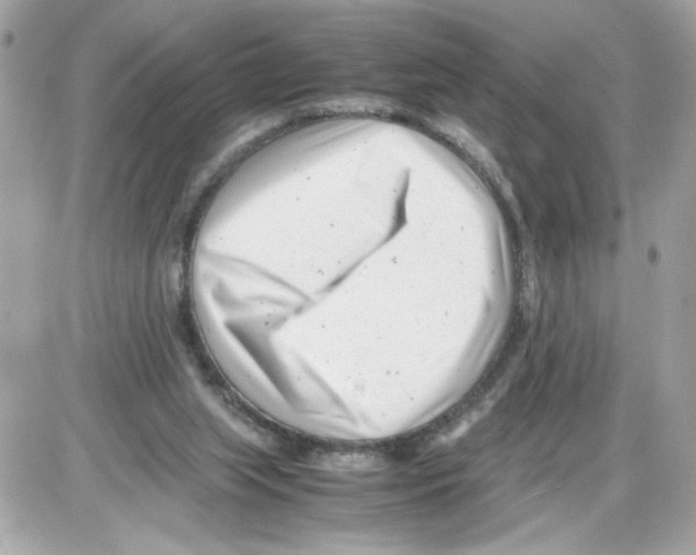 X0000085210063200704091917