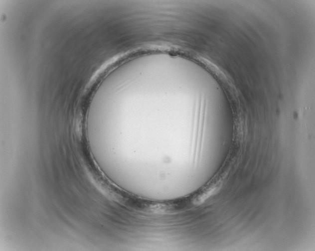 X0000085210064200704091917